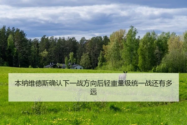 本纳维德斯确认下一战方向后轻重量级统一战还有多远