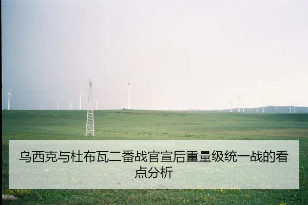 wu-xi-ke-yu-du-bu-wa-er-fan-zhan-guan-xuan-hou-zhong-liang-ji-tong-yi-zhan-de-kan-dian-fen-xi-2-463.jpg