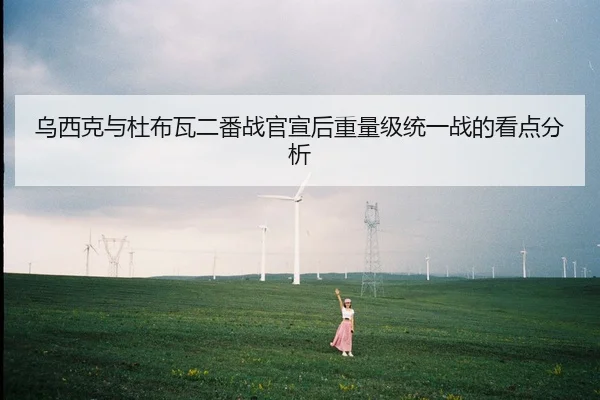 乌西克与杜布瓦二番战官宣后重量级统一战的看点分析