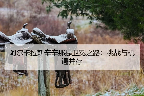 a-er-ka-la-si-xin-xin-na-ti-wei-mian-zhi-lu-tiao-zhan-yu-ji-yu-bing-cun-2-563.jpg