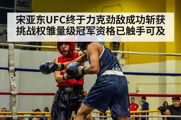 宋亚东UFC终于力克劲敌成功斩获挑战权雏量级冠军资格已触手可及