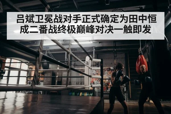 boxer training