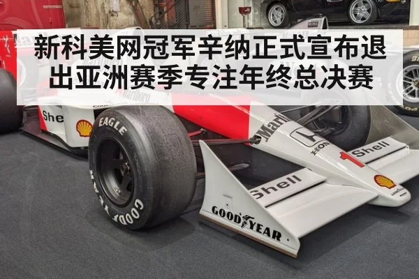 新科美网冠军辛纳正式宣布退出亚洲赛季专注年终总决赛