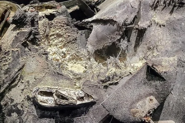 张兴嘉马术场地障碍赛锁定奥运参赛门票全力冲击个人最佳战绩